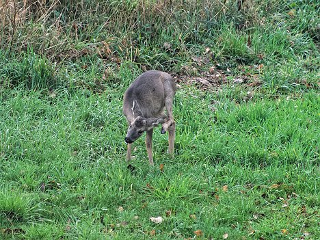 20221109_XB093823_EM1II_DxO-hda-p