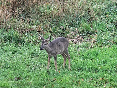 20221109_XB093824_EM1II_DxO-hda-p