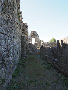 12C Athassel Priory, Augustinian, Ireland : 12C Athassel Priory, Augustinian, Ireland