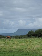 Carrowmore, Ireland, megalithic cemetery : Carrowmore, Ireland, megalithic cemetery