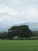 Carrowmore, Ireland, megalithic cemetery : Carrowmore, Ireland, megalithic cemetery