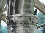 Boyle Abbey, Cistercian, Ireland : Boyle Abbey, Cistercian, Ireland