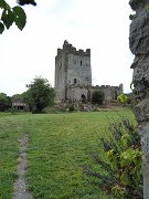 Clonony Cross, Ireland, Tudor Clonony Castle : Clonony Cross, Ireland, Tudor Clonony Castle