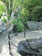 Ireland, St Manchan's Well, tree with rag clooties : Ireland, St Manchan's Well, tree with rag clooties