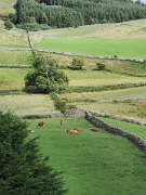 Galway, Ireland : Galway, Ireland