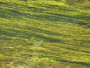 Cong, Ireland, Mayo : Cong, Ireland, Mayo