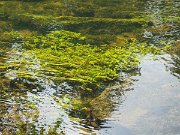 Cong, Ireland, Mayo : Cong, Ireland, Mayo