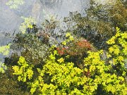 Cong, Ireland, Mayo : Cong, Ireland, Mayo