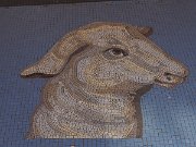Butcher's shop pavement mosaic, Dublin, F X Buckley Meat Emporium, Ireland : Butcher's shop pavement mosaic, Dublin, F X Buckley Meat Emporium, Ireland