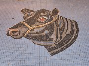 Butcher's shop pavement mosaic, Dublin, F X Buckley Meat Emporium, Ireland : Butcher's shop pavement mosaic, Dublin, F X Buckley Meat Emporium, Ireland