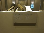 Dublin, Ireland, National Museum of Archaeology : Dublin, Ireland, National Museum of Archaeology