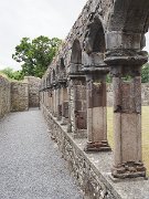 Cistercian 12C AD, Cloisters, Ireland, Jerpoint Abbey : Cistercian 12C AD, Cloisters, Ireland, Jerpoint Abbey