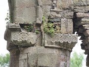 Cistercian 12C AD, Ireland, Jerpoint Abbey : Cistercian 12C AD, Ireland, Jerpoint Abbey