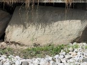 engraved kerb stone, Ireland, Knowth, Megalithic passage tomb : engraved kerb stone, Ireland, Knowth, Megalithic passage tomb