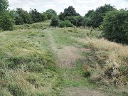 Hill of Tara, Ireland : Hill of Tara, Ireland