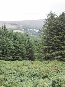 Ireland, Old Military Road : Ireland, Old Military Road