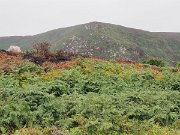 Ireland, Old Military Road : Ireland, Old Military Road