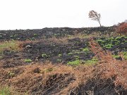 Ireland, Old Military Road : Ireland, Old Military Road