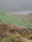 Ireland, Old Military Road : Ireland, Old Military Road