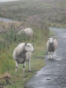 Ireland, Old Military Road : Ireland, Old Military Road