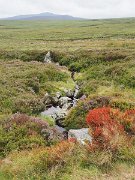 Ireland, Old Military Road : Ireland, Old Military Road