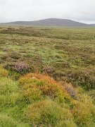 Ireland, Old Military Road : Ireland, Old Military Road