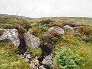 Ireland, Old Military Road : Ireland, Old Military Road