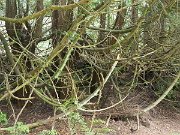 Glendalough Monastic site, Ireland : Glendalough Monastic site, Ireland