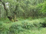 Glendalough Monastic site, Ireland : Glendalough Monastic site, Ireland