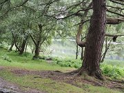 Glendalough Monastic site, Ireland : Glendalough Monastic site, Ireland