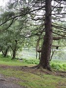 Glendalough Monastic site, Ireland : Glendalough Monastic site, Ireland