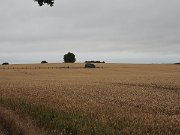 Brownshill Portal Tomb, Ireland : Brownshill Portal Tomb, Ireland