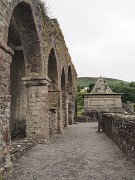 12-16C AD, Baltinglass Abbey, Cistercian, Ireland : 12-16C AD, Baltinglass Abbey, Cistercian, Ireland
