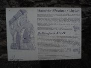 Baltinglass Abbey, Cistercian, Ireland : Baltinglass Abbey, Cistercian, Ireland