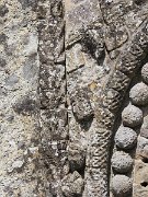 Clonfert Cathedral, Ireland : Clonfert Cathedral, Ireland