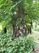 Clonfert, Ireland, tree with rag clooties : Clonfert, Ireland, tree with rag clooties