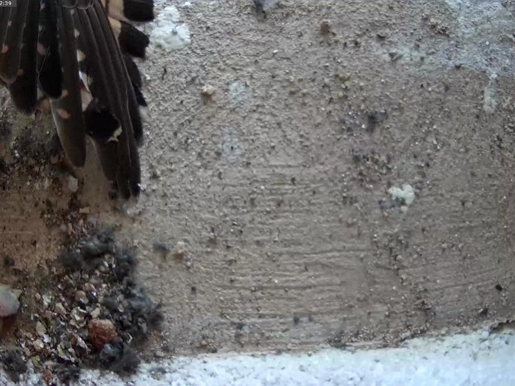 Frame_2021-07-09_10-22-39 Day 1