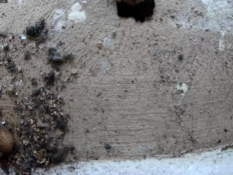 Frame_2021-07-09_12-11-26 Day 1