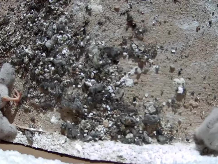 2021-07-18 08-53-39 video 08:53 exploring and playing hide-and-seek?