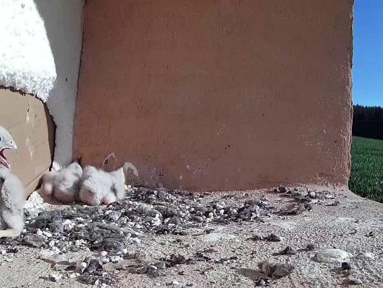 Frame_2021-07-18_08-35-57 08:35