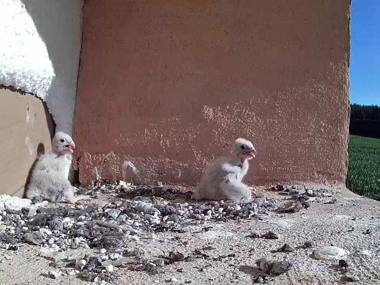 Frame_2021-07-18_08-50-40 08:50