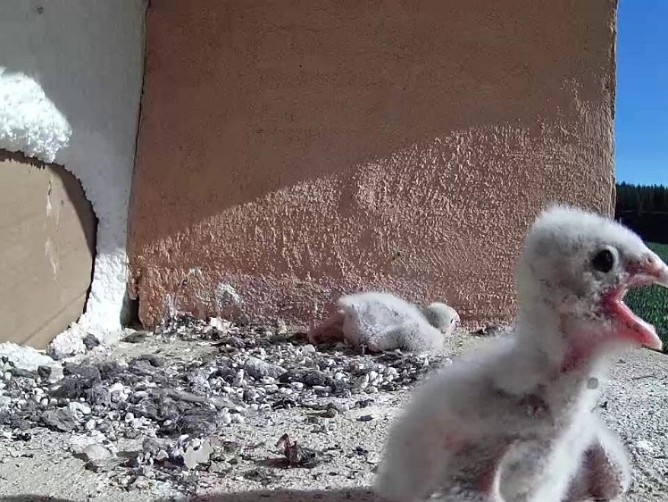 Frame_2021-07-18_09-17-50 09:17 exploring