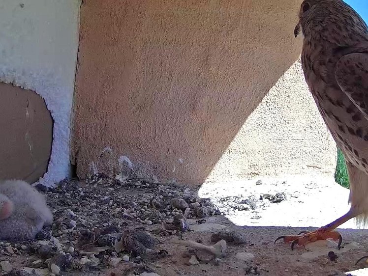 Frame_2021-07-18_11-40-54 11:40 just checking