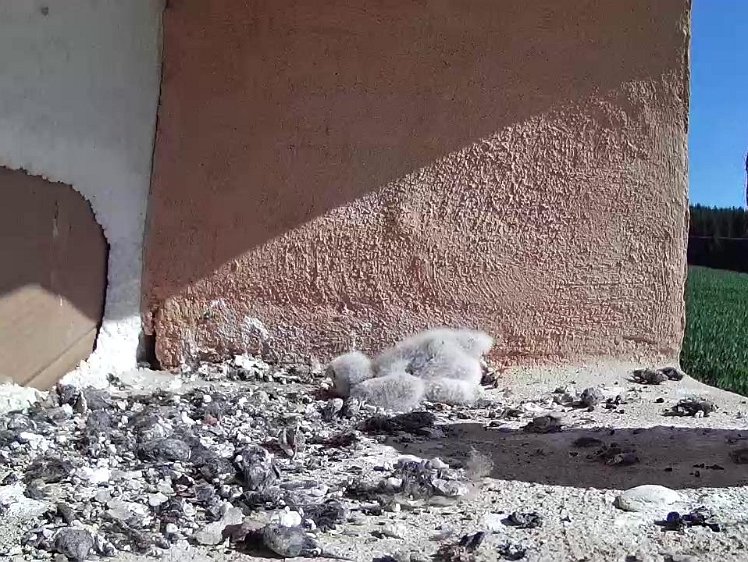 Frame_2021-07-19_09-54-23 09:45