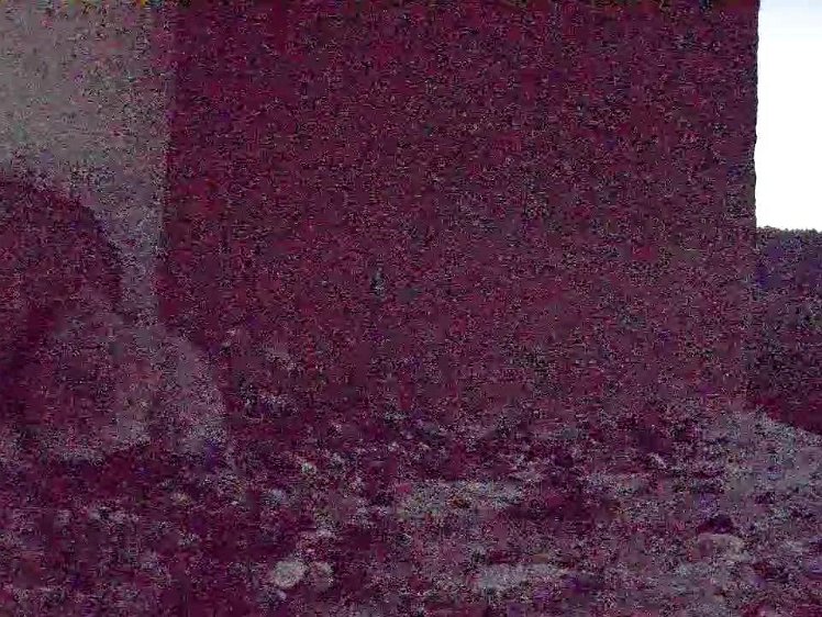 Frame_2021-07-21_05-00-43 05:00 the hen has already left