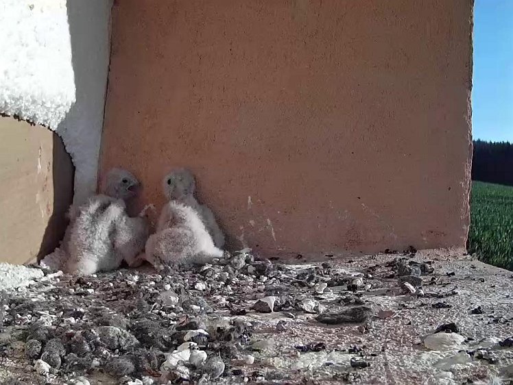 Frame_2021-07-21_07-54-56 07:54