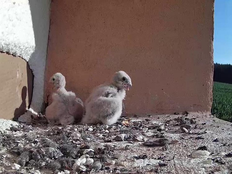 Frame_2021-07-21_08-14-58 08:14