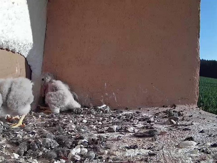 Frame_2021-07-21_08-15-18 08:15