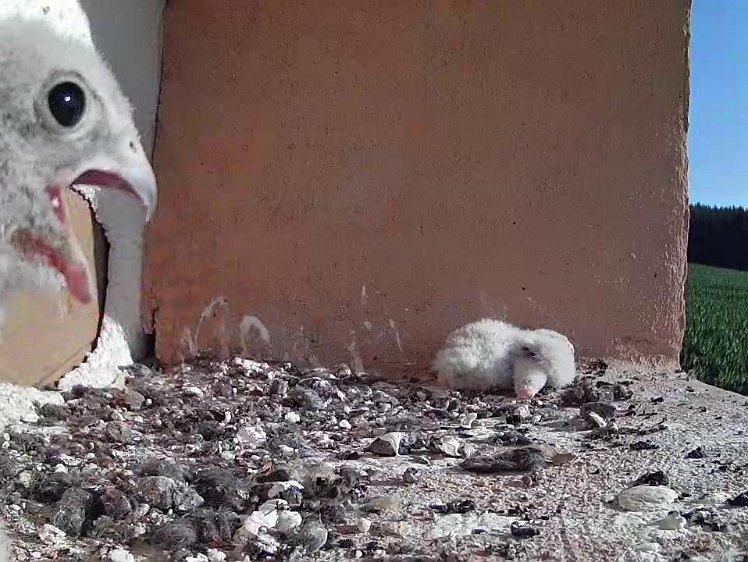 Frame_2021-07-21_08-31-01 08:31