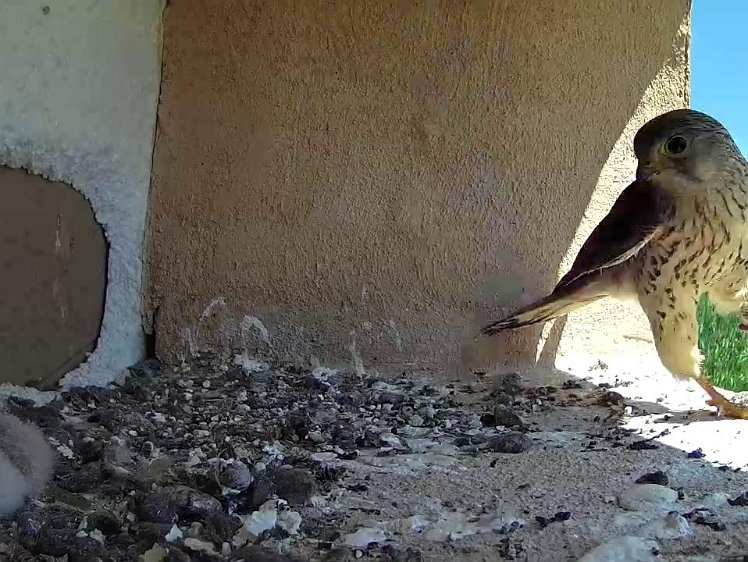 Frame_2021-07-21_12-13-59 12:!3